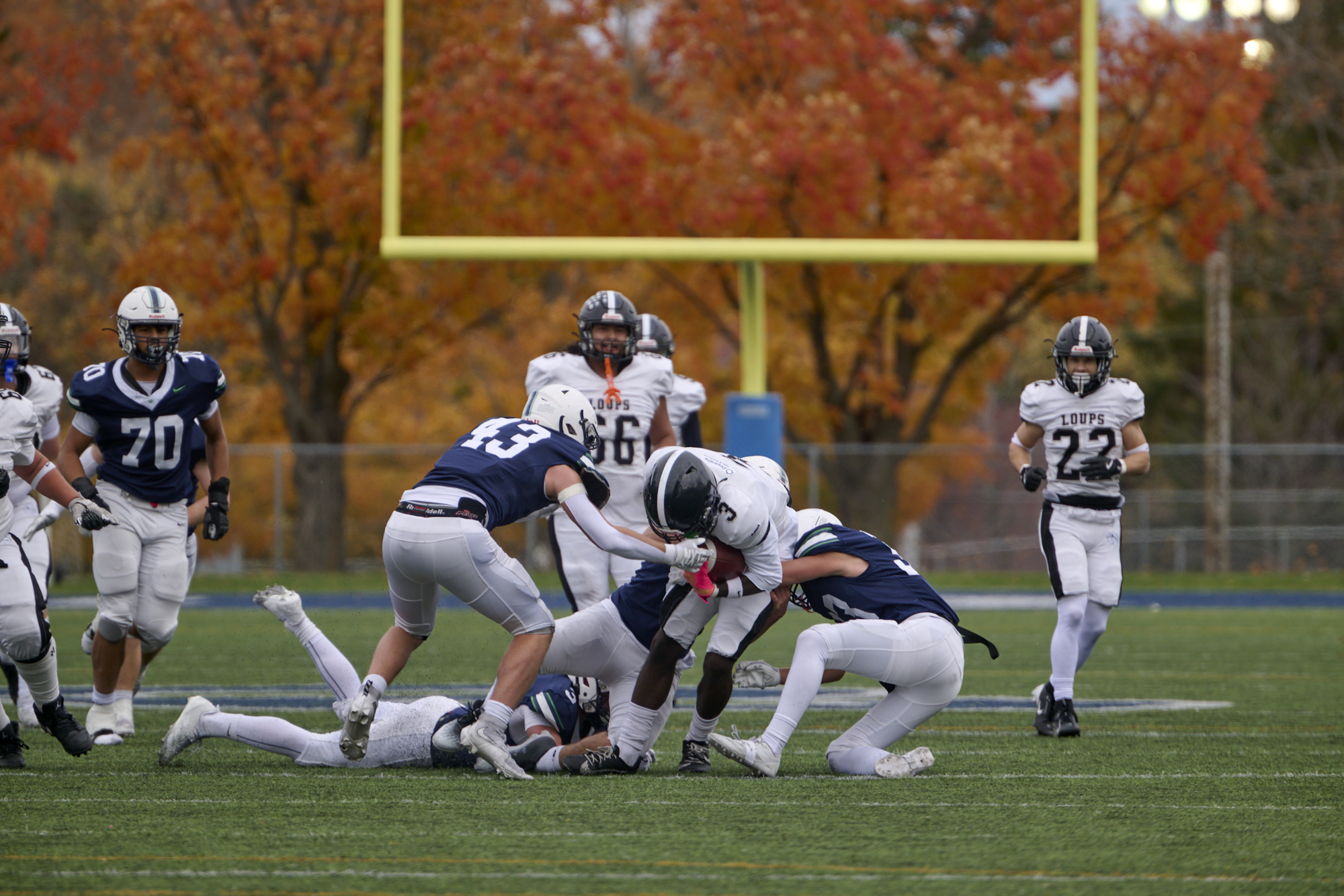 DSC_5026_2000.jpg